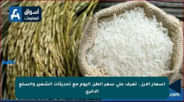 أسعار الأرز.. تعرف على سعر الطن اليوم مع تحديثات الشعير والسلع الأخرى